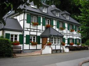 Отель Wißkirchen Hotel & Restaurant  Оденталь